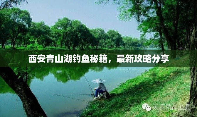 西安青山湖钓鱼秘籍，最新攻略分享