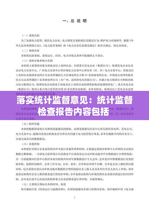 落实统计监督意见：统计监督检查报告内容包括 