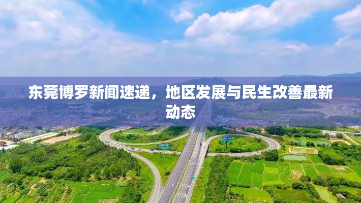 东莞博罗新闻速递，地区发展与民生改善最新动态