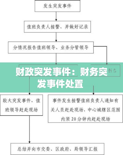 财政突发事件：财务突发事件处置 