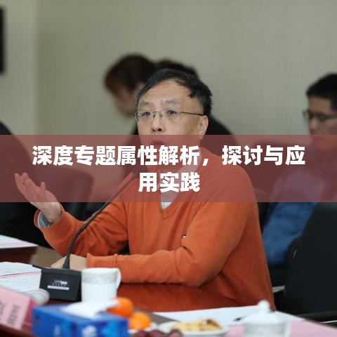 深度专题属性解析，探讨与应用实践