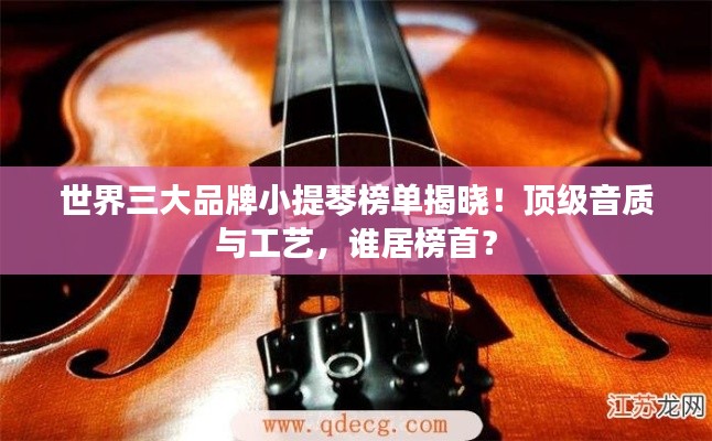世界三大品牌小提琴榜单揭晓！顶级音质与工艺，谁居榜首？