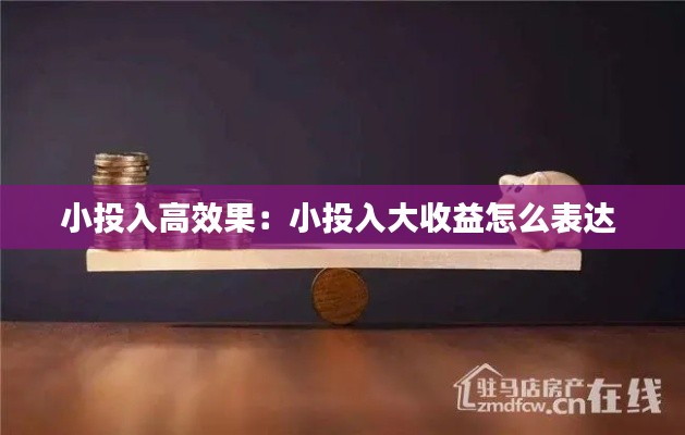小投入高效果：小投入大收益怎么表达 