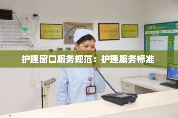 护理窗口服务规范：护理服务标准 