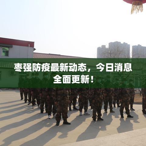 枣强防疫最新动态，今日消息全面更新！