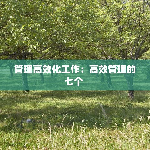 管理高效化工作：高效管理的七个 