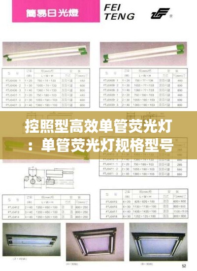 控照型高效单管荧光灯：单管荧光灯规格型号 