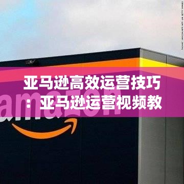 亚马逊高效运营技巧：亚马逊运营视频教程 