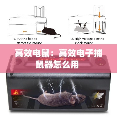 高效电鼠：高效电子捕鼠器怎么用 