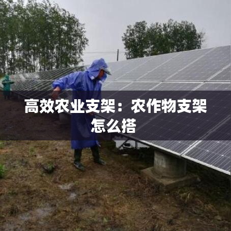 高效农业支架：农作物支架怎么搭 