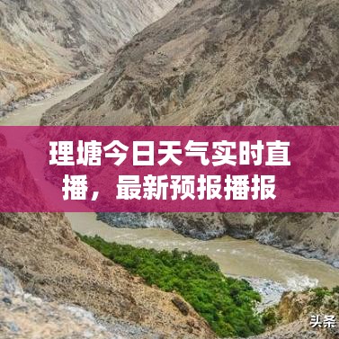 炊粱跨卫 第2页