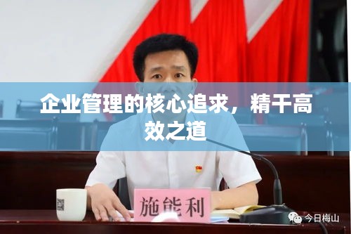 企业管理的核心追求，精干高效之道