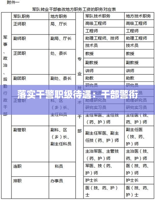 落实干警职级待遇：干部警衔 