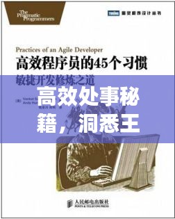 高效处事秘籍，洞悉王结局的智慧之道