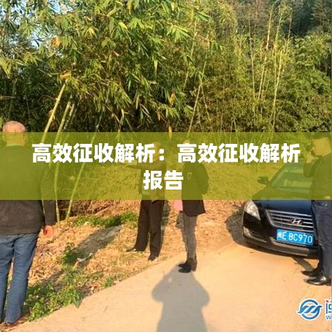 高效征收解析：高效征收解析报告 