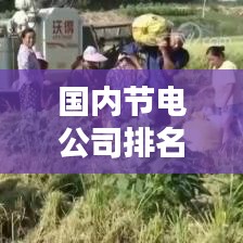国内节电公司排名大揭秘，影响力深度解析