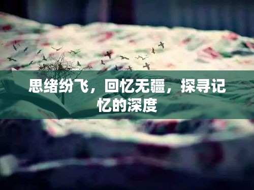 思绪纷飞，回忆无疆，探寻记忆的深度