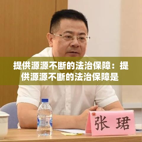 提供源源不断的法治保障：提供源源不断的法治保障是 