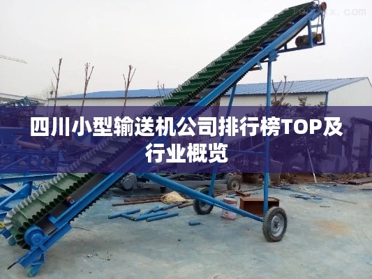 四川小型输送机公司排行榜TOP及行业概览
