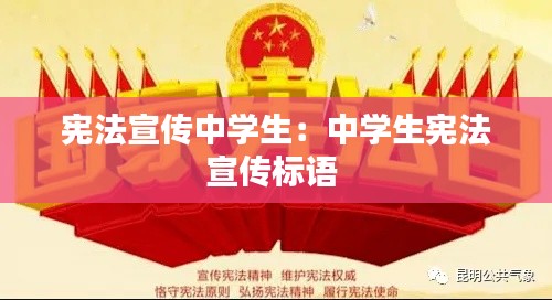 宪法宣传中学生：中学生宪法宣传标语 