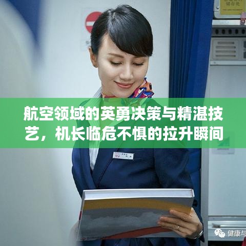 航空领域的英勇决策与精湛技艺，机长临危不惧的拉升瞬间