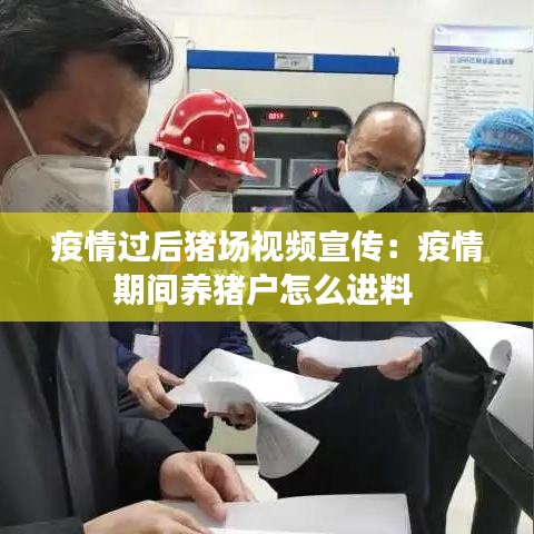 疫情过后猪场视频宣传：疫情期间养猪户怎么进料 