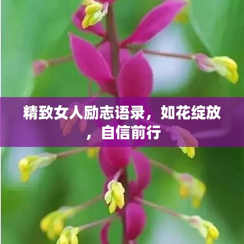 精致女人励志语录，如花绽放，自信前行