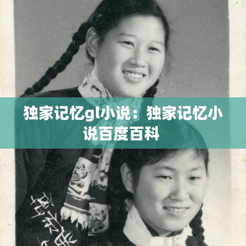 独家记忆gl小说：独家记忆小说百度百科 