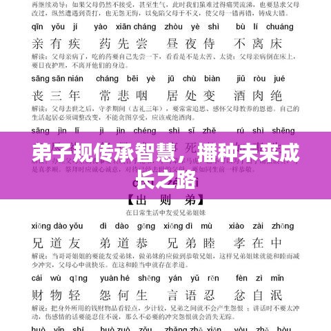 弟子规传承智慧，播种未来成长之路
