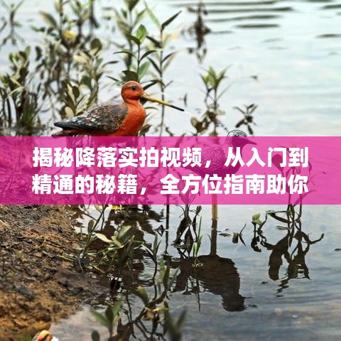 揭秘降落实拍视频，从入门到精通的秘籍，全方位指南助你成为视频达人！