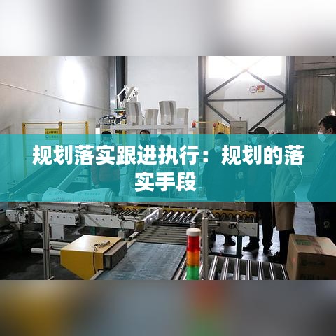规划落实跟进执行：规划的落实手段 