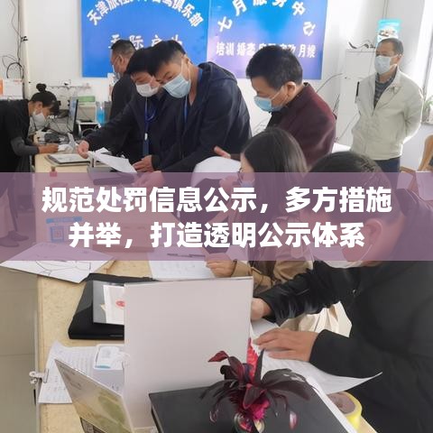 规范处罚信息公示，多方措施并举，打造透明公示体系