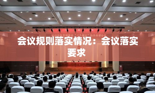 会议规则落实情况：会议落实要求 