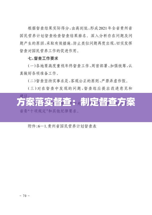 方案落实督查：制定督查方案 