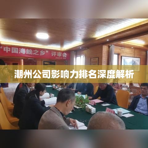 潮州公司影响力排名深度解析