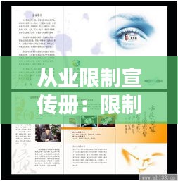 从业限制宣传册：限制从业处罚 