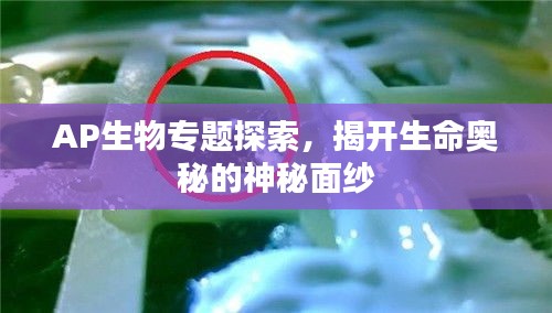 AP生物专题探索，揭开生命奥秘的神秘面纱