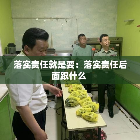落实责任就是要：落实责任后面跟什么 