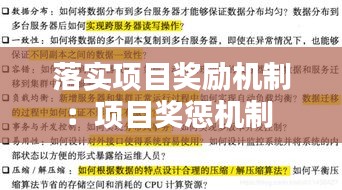 落实项目奖励机制：项目奖惩机制 