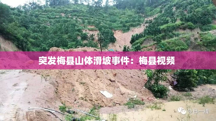突发梅县山体滑坡事件：梅县视频 