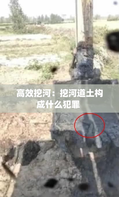 高效挖河：挖河道土构成什么犯罪 