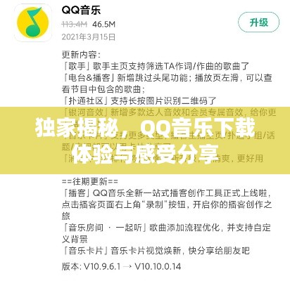 独家揭秘，QQ音乐下载体验与感受分享