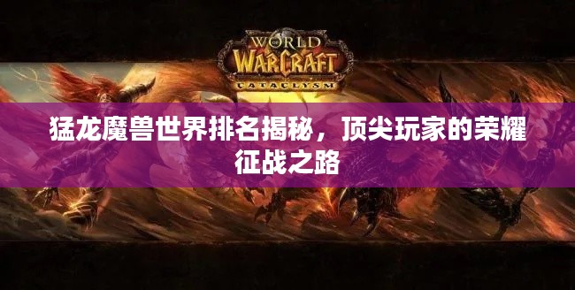 猛龙魔兽世界排名揭秘，顶尖玩家的荣耀征战之路