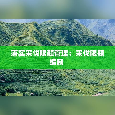 落实采伐限额管理：采伐限额编制 