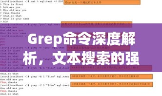 Grep命令深度解析，文本搜索的强力工具