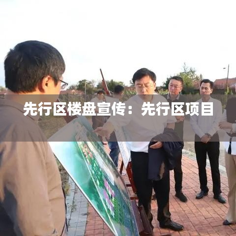 先行区楼盘宣传：先行区项目 