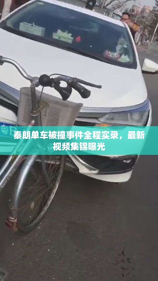 秦朗单车被撞事件全程实录，最新视频集锦曝光