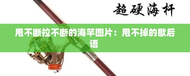 甩不断拉不断的海竿图片：甩不掉的歇后语 