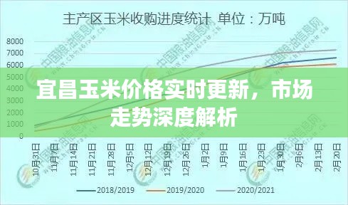 宜昌玉米价格实时更新，市场走势深度解析