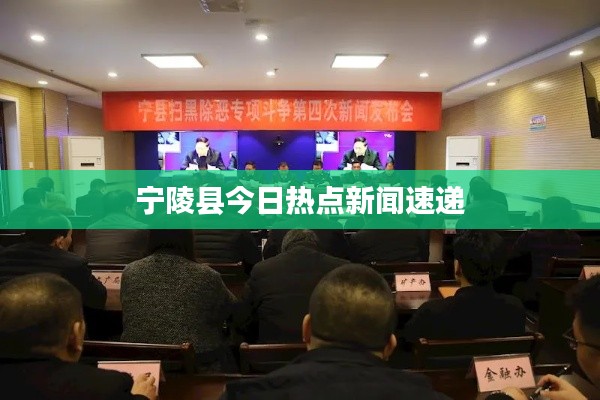 宁陵县今日热点新闻速递